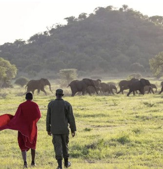 Two people walking toward a herd of elephants