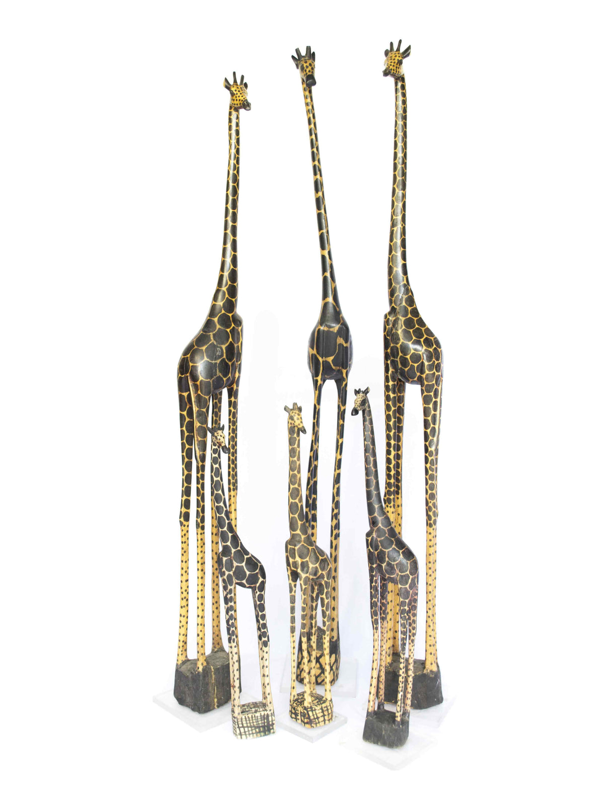 Three giraffes of different heights