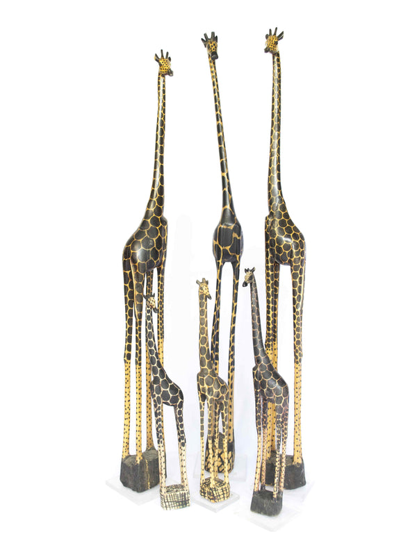 Giraffes