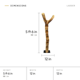 Ladder dimensions: 5 ft 6 in (66 in) tall, 12 in wide, 12 in deep
