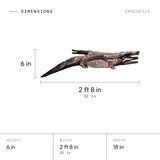 Crocodile dimensions: 6 in tall, 2 ft 8 in (32 in) wide, 18 in deep