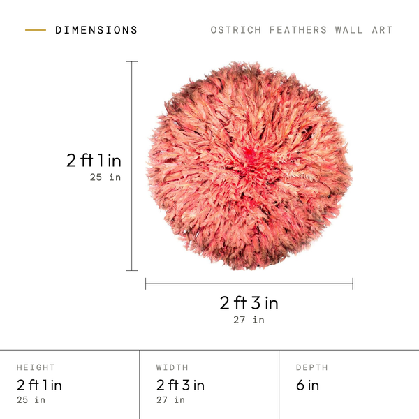 Ostrich Feathers Wall Art dimensions: 2 ft 1 in (25 in) tall, 2 ft 3 in (27 in) wide, 6 in deep