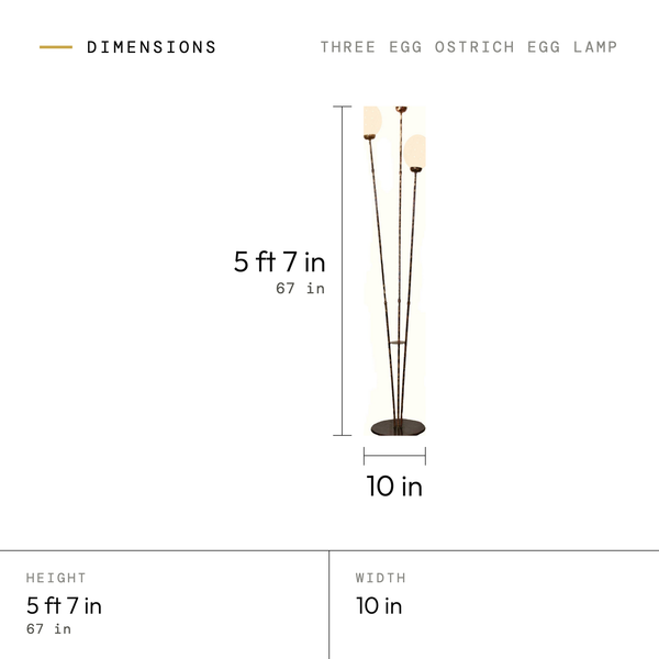 Three Egg Ostrich Egg Lamp dimensions: 5 ft 7 in (67 in) tall, 10 in wide