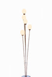 Full view of the Five Egg Ostrich Egg Lamp with five lit eggs on thin metal stems of different heights