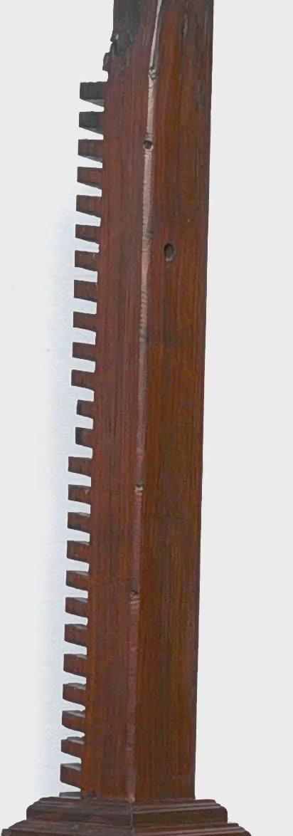 CD Rack turning on a stand, video