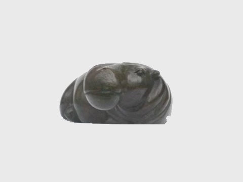 Hippos turning on a stand, video