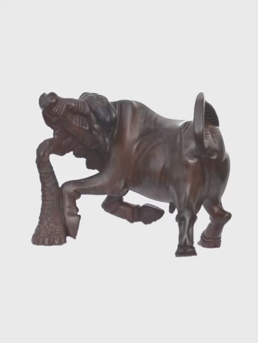 Buffalo turning on a stand, video
