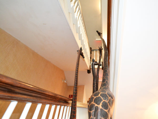 Giraffes on Display at Harbor View Hotel, Martha's Vineyard
