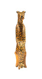 Cheetah, Front view: Authentic Vintage Hand Carved & Hand Painted Teak Wood 'Animal Party' Figurine from Kenya