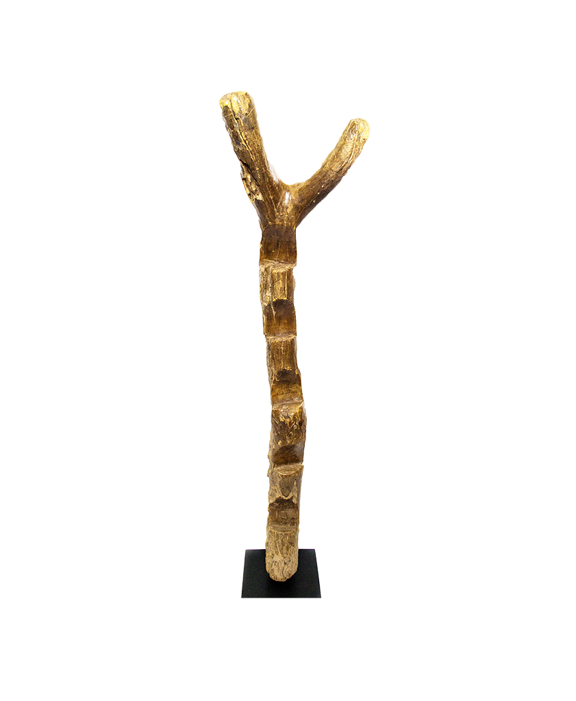 Ladder, a Dogon ladder carved from teak wood in Mali, with notched steps and a forked top on a black stand