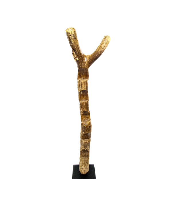 Ladder, a Dogon ladder carved from teak wood in Mali, with notched steps and a forked top on a black stand