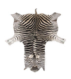 Alternate View - Authentic Cruelty-Free Super Grade A Zebra Skin from South Africa